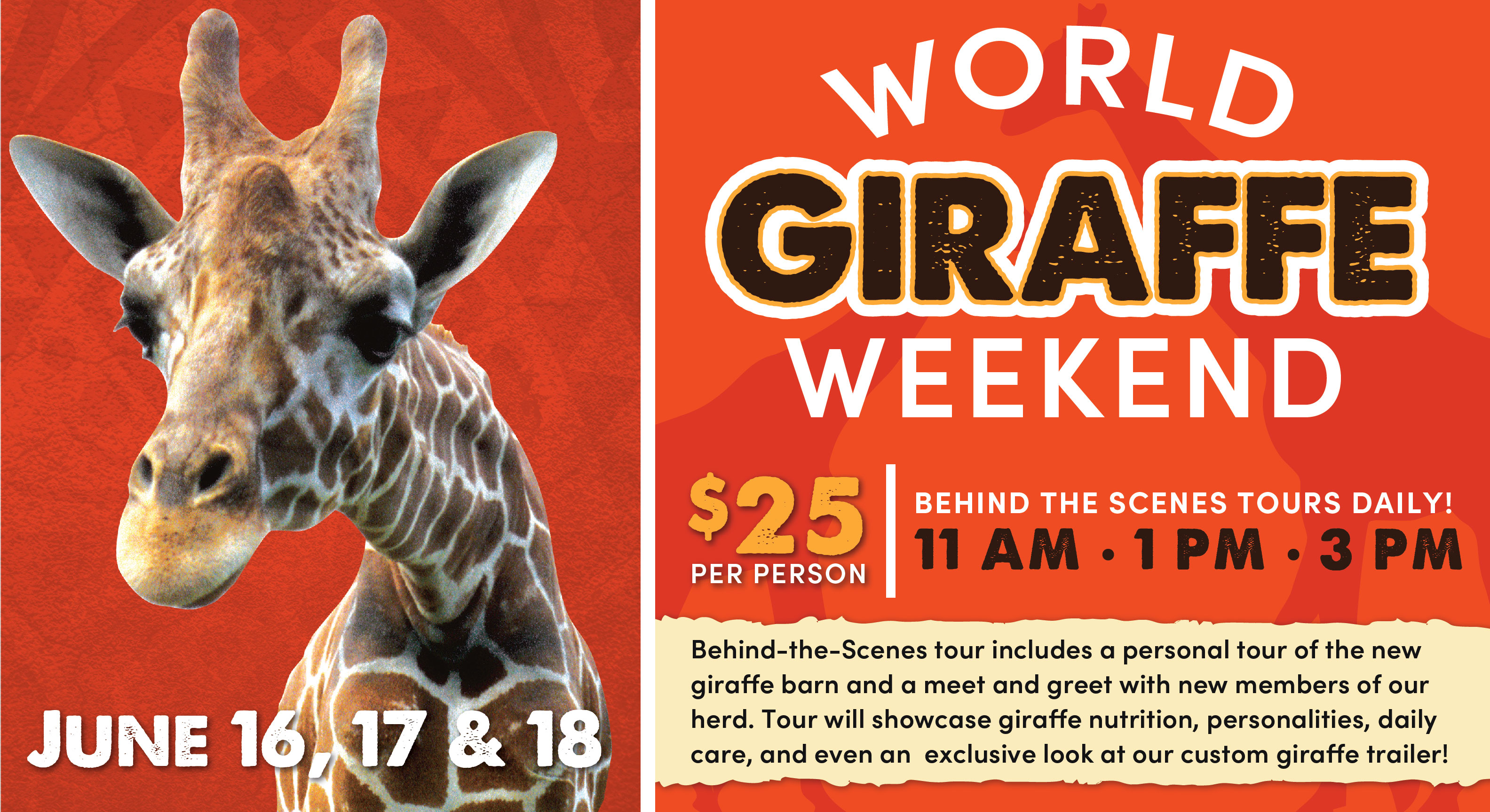 World Giraffe Weekend